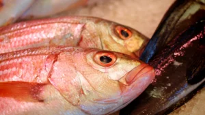 Tsukiji Fish Market