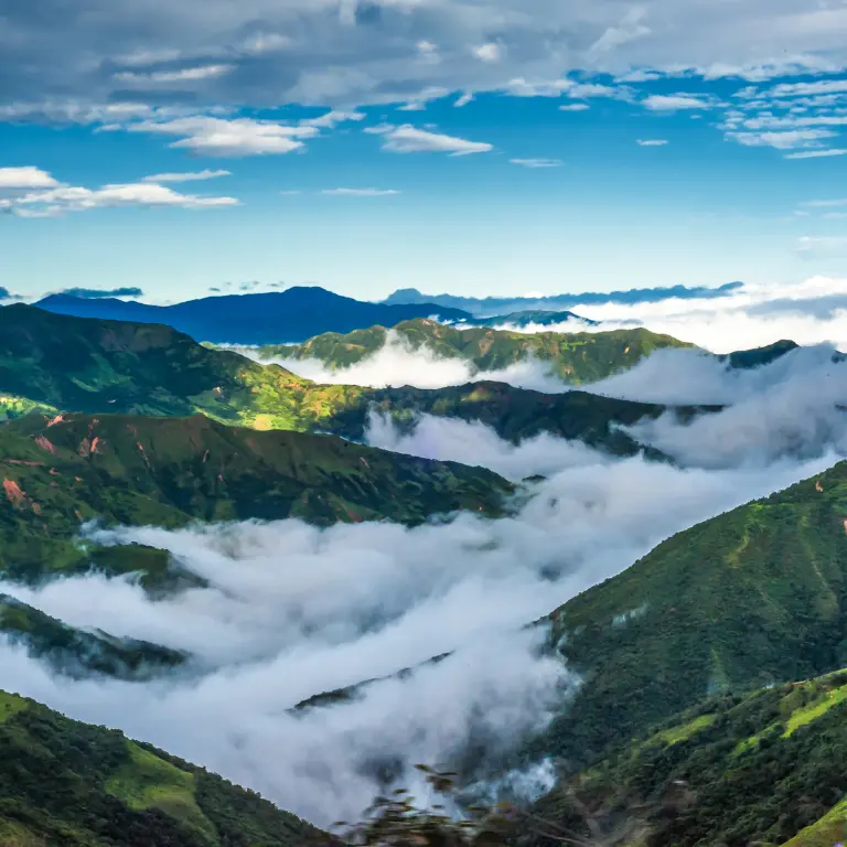 Seguro es obligatorio en Ecuador