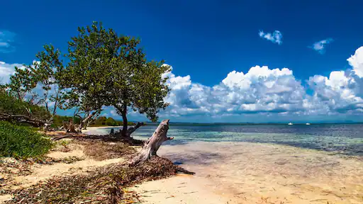 playa los pinos