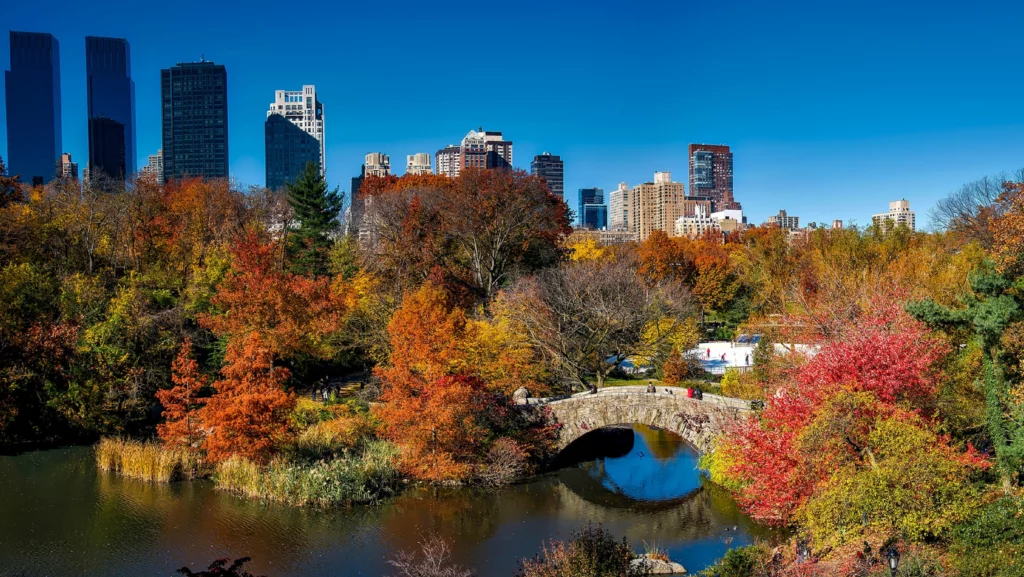 Nueva York es esa ciudad que sorprende hasta a sus habitantes