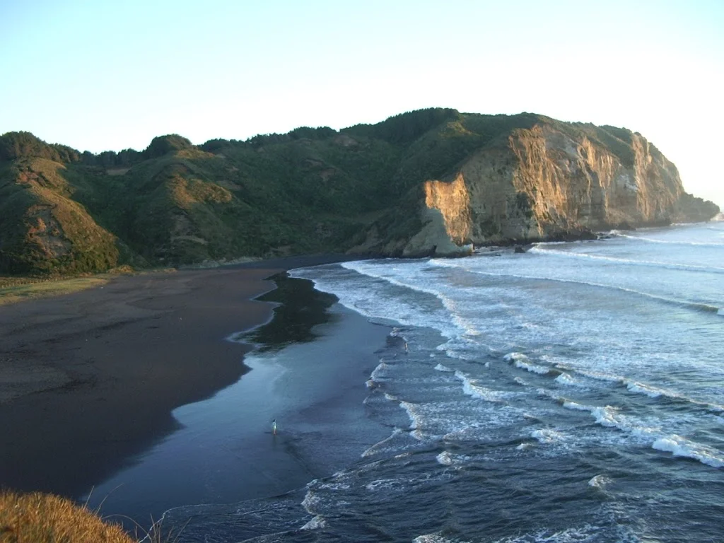 Playas de la Araucanía