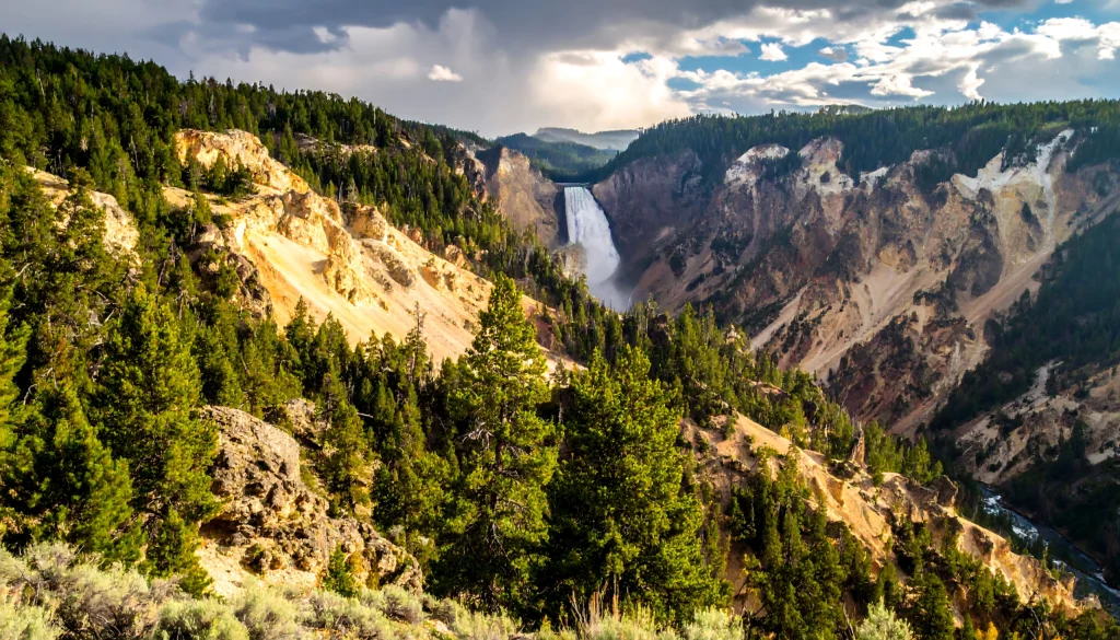Yellowstone National Park Canyon