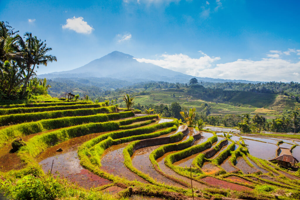Vista panorámica y pintoresca de terrazas de arroz con un volcán en Bali, Indonesia.