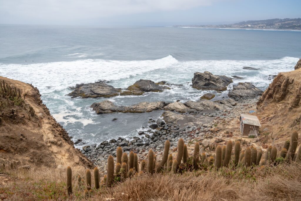 playa punta de lobos