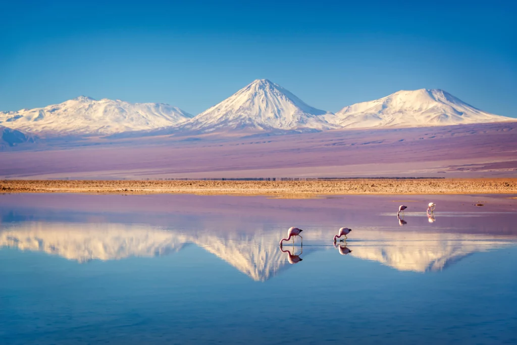 salar desierto de atacama